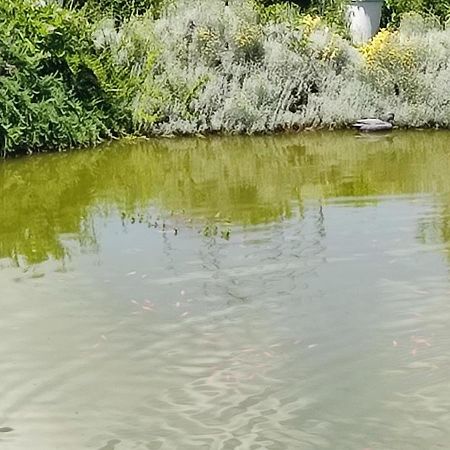 Domaine Le Lanis Chambre D'Hotes Piscine Spa Privatise Sur Reservation Saint-Girons  Eksteriør bilde