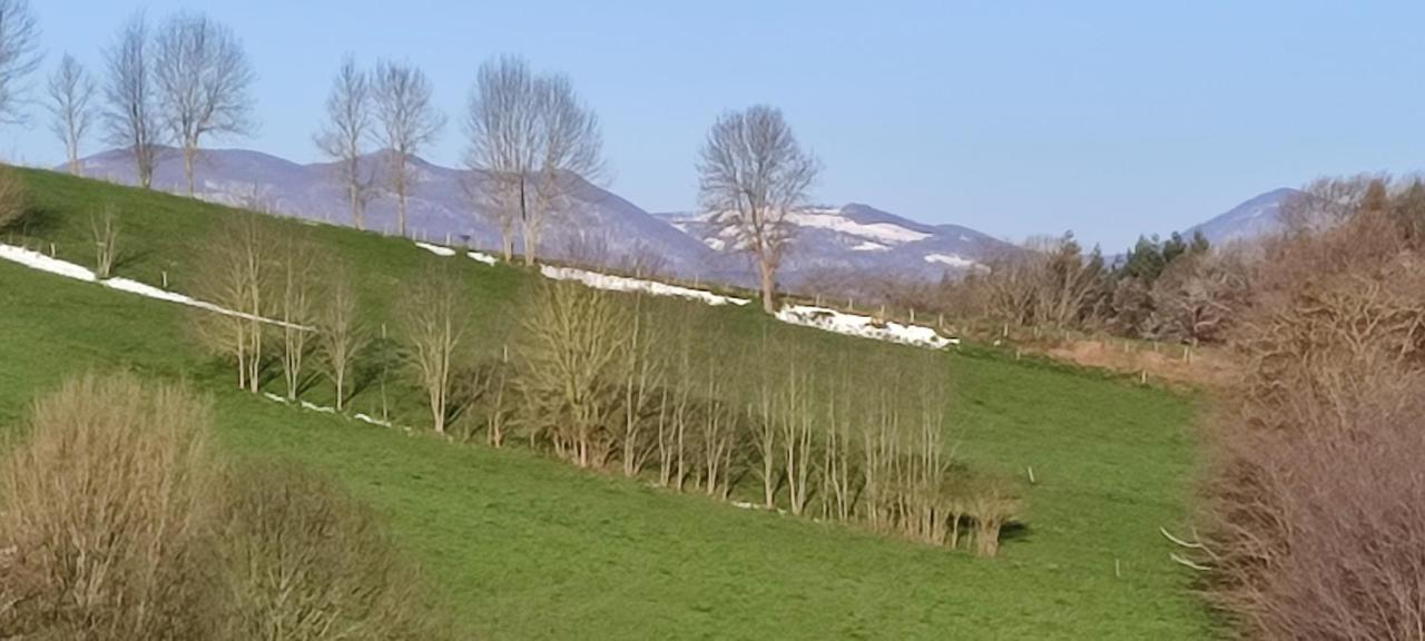 Domaine Le Lanis Chambre D'Hotes Piscine Spa Privatise Sur Reservation Saint-Girons  Eksteriør bilde