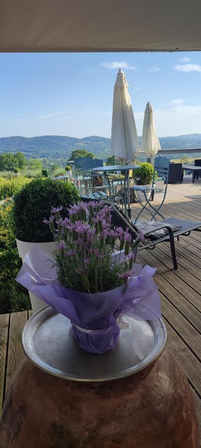 Domaine Le Lanis Chambre D'Hotes Piscine Spa Privatise Sur Reservation Saint-Girons  Eksteriør bilde