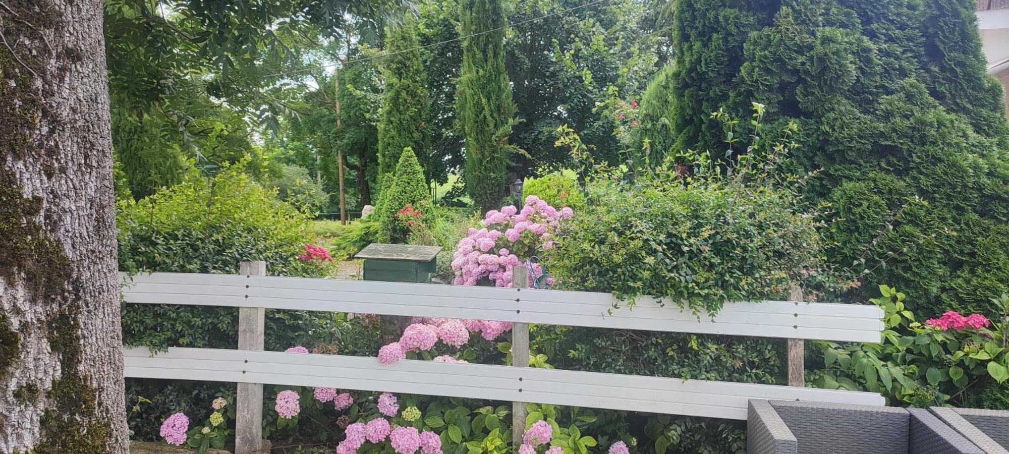 Domaine Le Lanis Chambre D'Hotes Piscine Spa Privatise Sur Reservation Saint-Girons  Eksteriør bilde